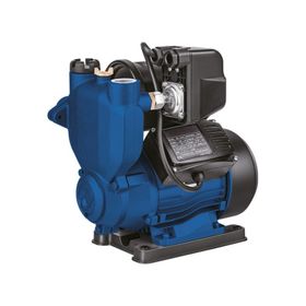 CatPower 613 Benzinli 800 W Hidrofor