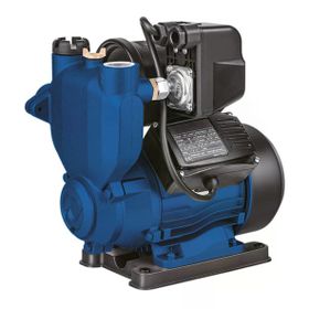 CatPower 613 Benzinli 800 W Hidrofor