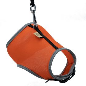 Cattie 1x25-35 cm Havalı Dokuma Kedi Göğüs ve Gezdirme Takımı
