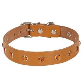 Cattie Gerçek Deriden Taşlı Camel Xlarge 1.5x26-31 cm Kedi Boyun Tasması