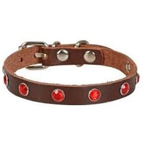 Cattie Gerçek Deriden Taşlı Kahverengi Xlarge 1.5x26-31 cm Kedi Boyun Tasması
