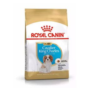 Cavalier King Charles Junior 1,5 kg Yavru Kopek Maması