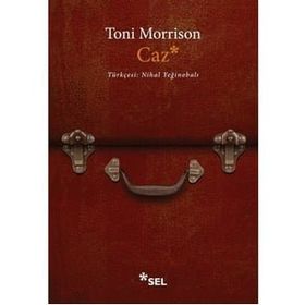 Caz - Toni Morrison