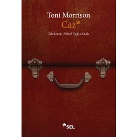 Caz - Toni Morrison
