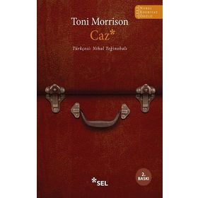 Caz - Toni Morrison
