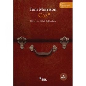 Caz - Toni Morrison