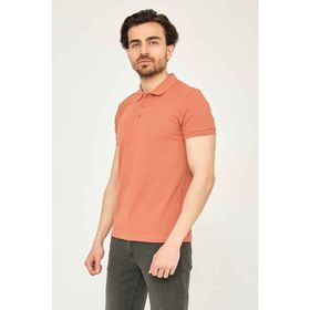 Cazador 22YCEEO04613 Tarçın Polo Yaka Erkek T-shirt