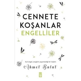 CEBI DELIK - PAUL AUSTER