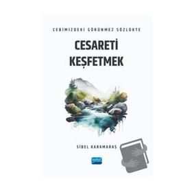 Cebimizdeki Görünmez Sözlükte Cesareti Keşfetmek Nobel Akademik Yayıncılık