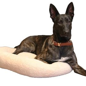 CecePet Chips Serisi Medium 70x70 cm Kedi ve Köpek Yatağı