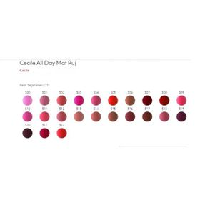 Cecile All Day Matte Rouge 313 Mat Ruj