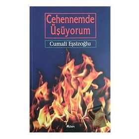 Cehennemde Üşüyorum - Cumali Eşsizoğlu