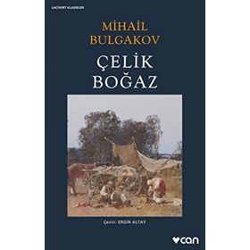 Çelik Boğaz