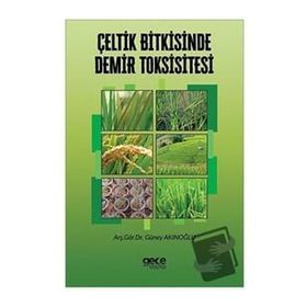 Çeltik Bitkisinde Demir Toksisitesi - Güney Akınoğlu