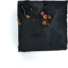 Cemile'nin Sabunları 100 gr Eşek Sütlü Karbon Sabunu