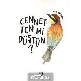 Cennetten mi Düştün? - Ufuk Eryıldız