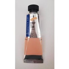Cenova Art 215 Flesh Tint 50 ml Profesyonel Yağlı Boya