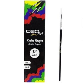 Ceoart 2535 Suluboya Fırçası