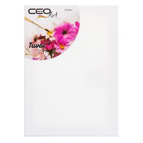 Ceoart Düz 25x35 cm Tuval