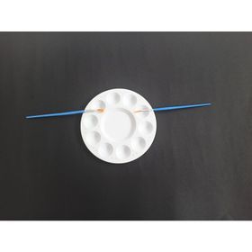 Ceoart Plastik Yuvarlak Fırçalı Palet