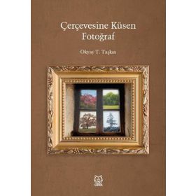 Çerçevesine Küsen Fotoğraf - Okyay T. Taşkın