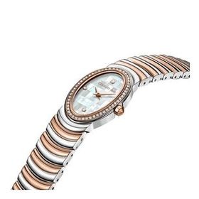 Cerruti 1881 CIWLG0072509 Kadın Kol Saati