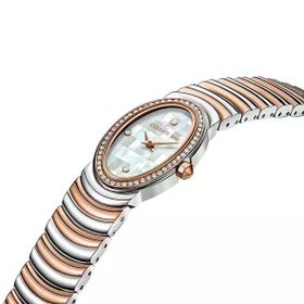 Cerruti 1881 CIWLG0072509 Kadın Kol Saati