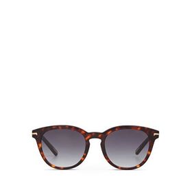 Cerruti 1881 CR 80029 C2 Kahverengi Oval Havana Asetat Erkek Güneş Gözlüğü