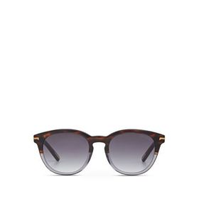 Cerruti 1881 CR 80029 C4 Oval Havana Gri Asetat Erkek Güneş Gözlüğü