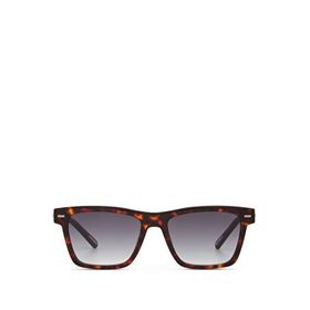 Cerruti 1881 CR 80037 C2 Kahverengi Kare Havana Asetat Erkek Güneş Gözlüğü