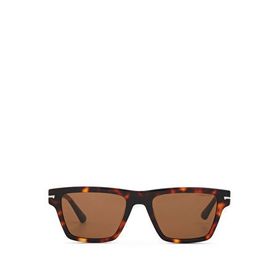 Cerruti 1881 CR 80087 C2 Koyu Kahverengi Havana Asetat Erkek Güneş Gözlüğü
