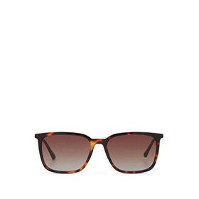 Cerruti 1881 CR 80098 C2 Koyu Kahverengi Havana Asetat Erkek Güneş Gözlüğü
