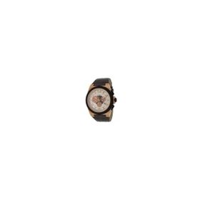 Cerruti Ct100801s06 Erkek Kol Saati
