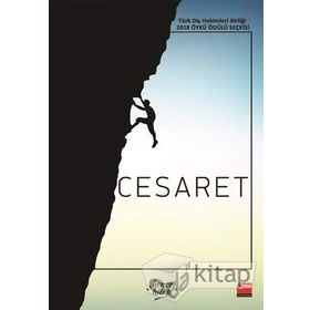 Cesaret - Debbie Ford
