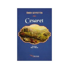 Cesaret - Debbie Ford