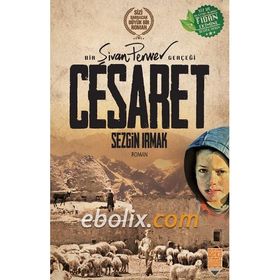 Cesaret - Debbie Ford