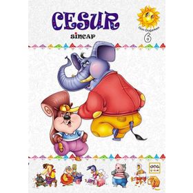 CESUR SINCAP - AMIR SEVANI