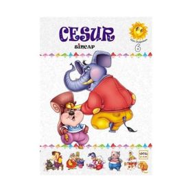 CESUR SINCAP - AMIR SEVANI