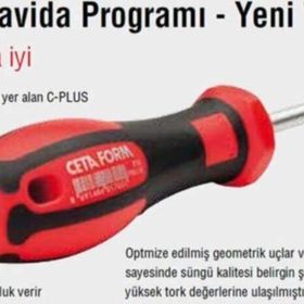 Ceta Form B14-2427 Yıldız İki Ağız Anahtar