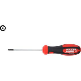 Ceta Form F19-010-080 C-Plus Delikli Torx Uçlu T10x80 mm Tornavida