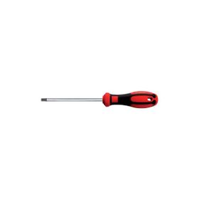 Ceta Form F19-025-100 C-Plus Delikli Torx Uçlu T25x100 mm Tornavida