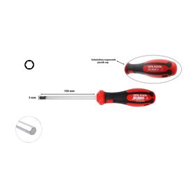 Ceta Form F22-050-100 C-Plus Allen Uçlu 5.0x100 mm Tornavida