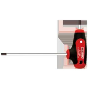 Ceta K10-030-100 3 mm T Saplı Allen Anahtar