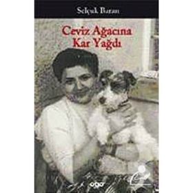 CEVIZ AĞACINA KAR YAĞDI - GENEL
