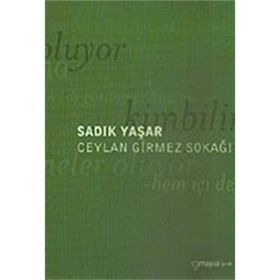 CEYLAN GIRMEZ SOKAĞI - SADIK YAŞAR