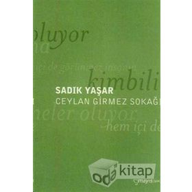 CEYLAN GIRMEZ SOKAĞI - SADIK YAŞAR