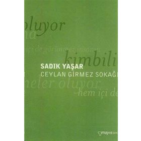 CEYLAN GIRMEZ SOKAĞI - SADIK YAŞAR