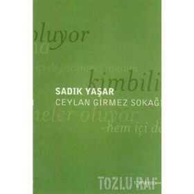 CEYLAN GIRMEZ SOKAĞI - SADIK YAŞAR