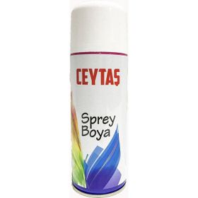 Ceytaş 400 ml Beyaz Sprey Boya