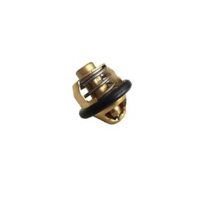 Cf Moto Nk 250 Termostat